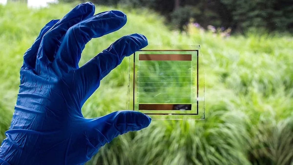 Scientists Introduce Transparent Solar Panels That Can Be Used as Windows