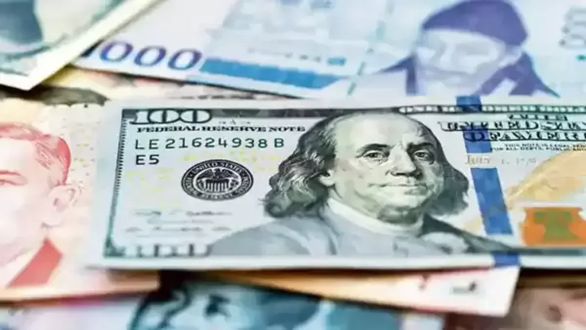 Foreign Exchange Reserve Reduced For The Sixth Consecutive Week: $ 80 Billion Dropped So Far This Year