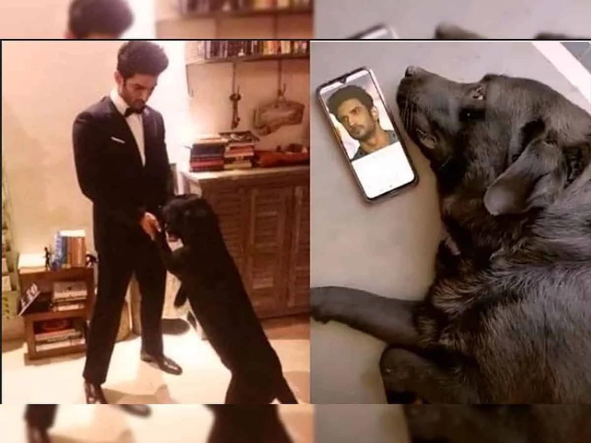 Sushant Singh Rajput's Pet Dog 'Fudge' is No More