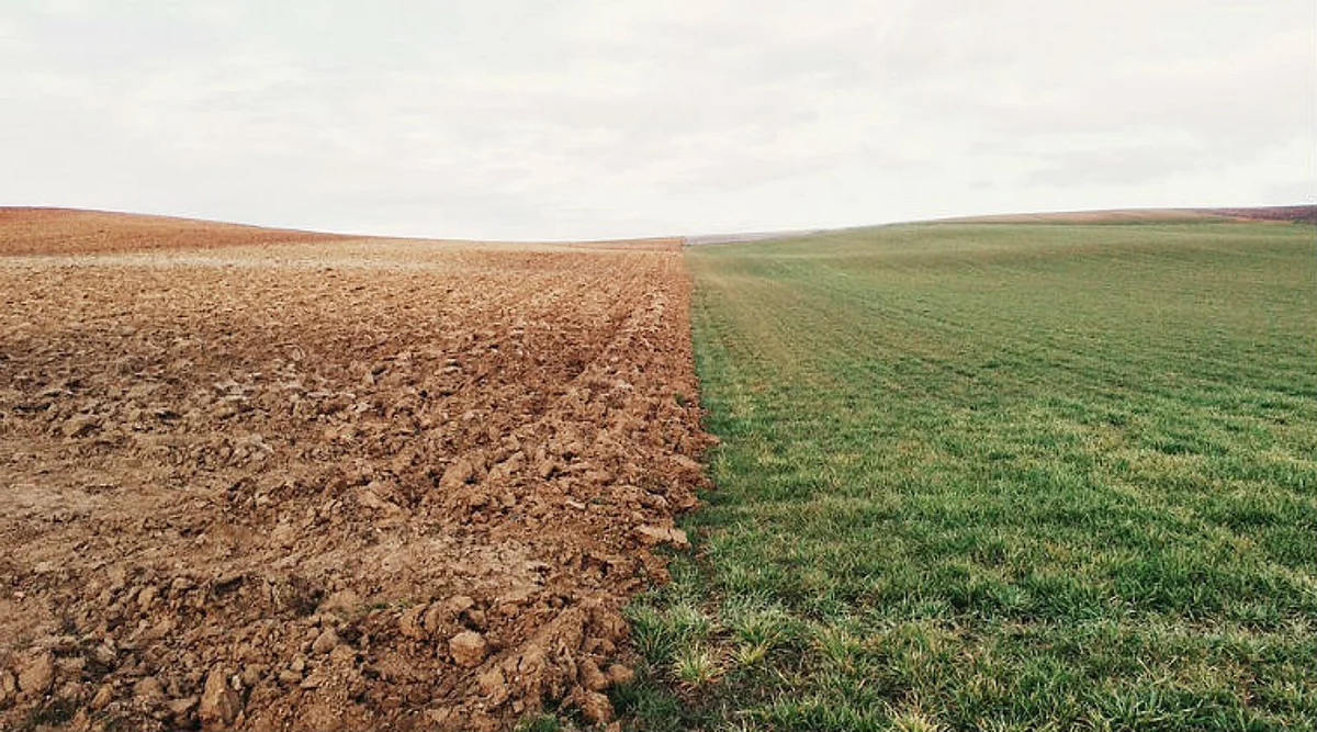 New Method can Restore Fertility of Oil-Soaked Soil