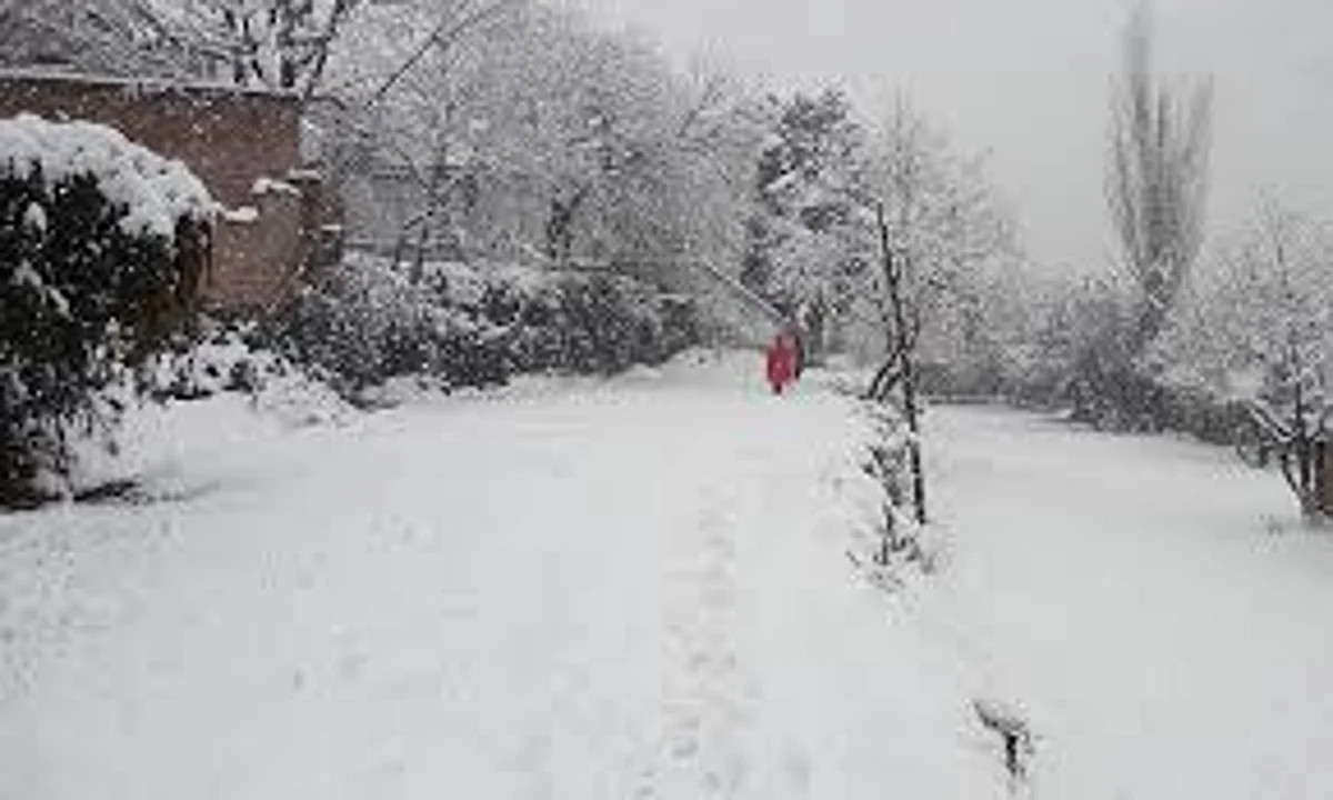 Paradise on Earth Battles Continuous Snowfall; Kashmiris carry Dead Body on Foot