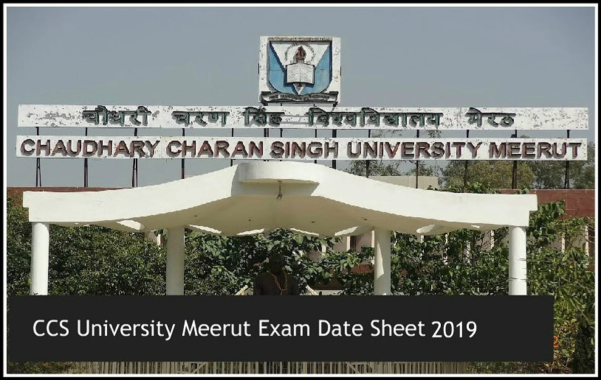 BEd Examinations Starts From 28 June In CCSU Colleges