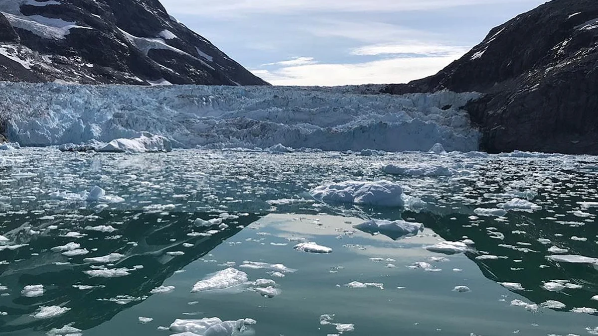 Nature Impact in the World of Words, ‘Climate Emergency’ became Word of the Year
