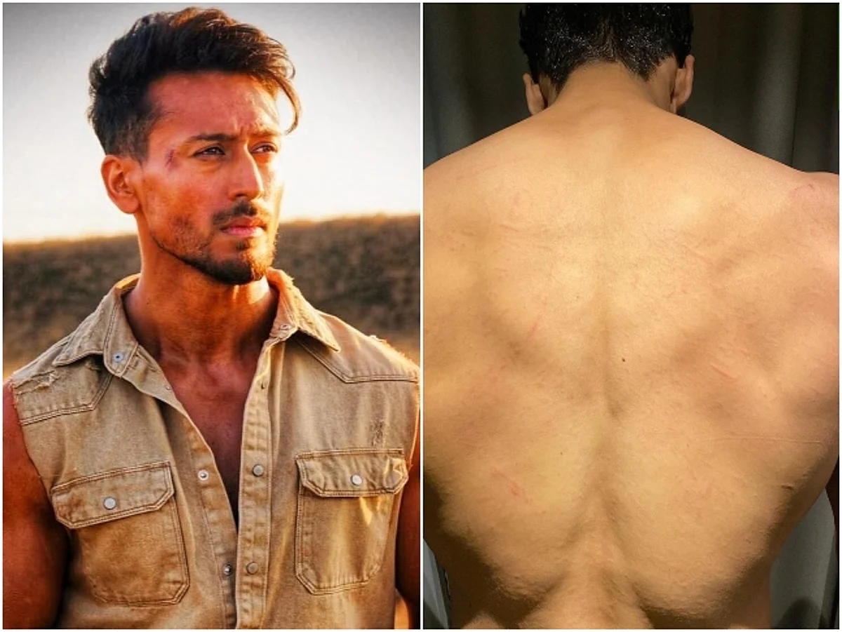 Tiger Shroff Shares a Picture of his Muscular Shoulders and Back!!