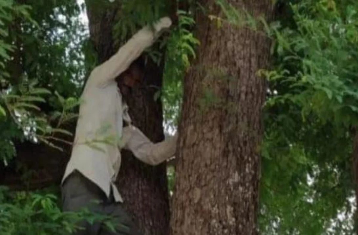 Madhya Pradesh Youth Climbed Tree to Avoid Covid Vaccine in Rajgarh