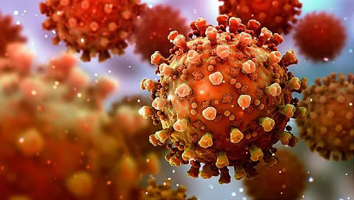 Beware: The Four Most Infectious and Deadly Variants of Corona