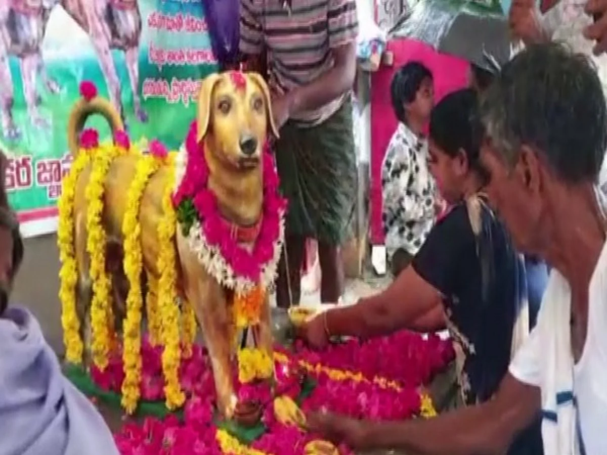 Andhra: Bronze statue of dog erected on its fifth death anniversary