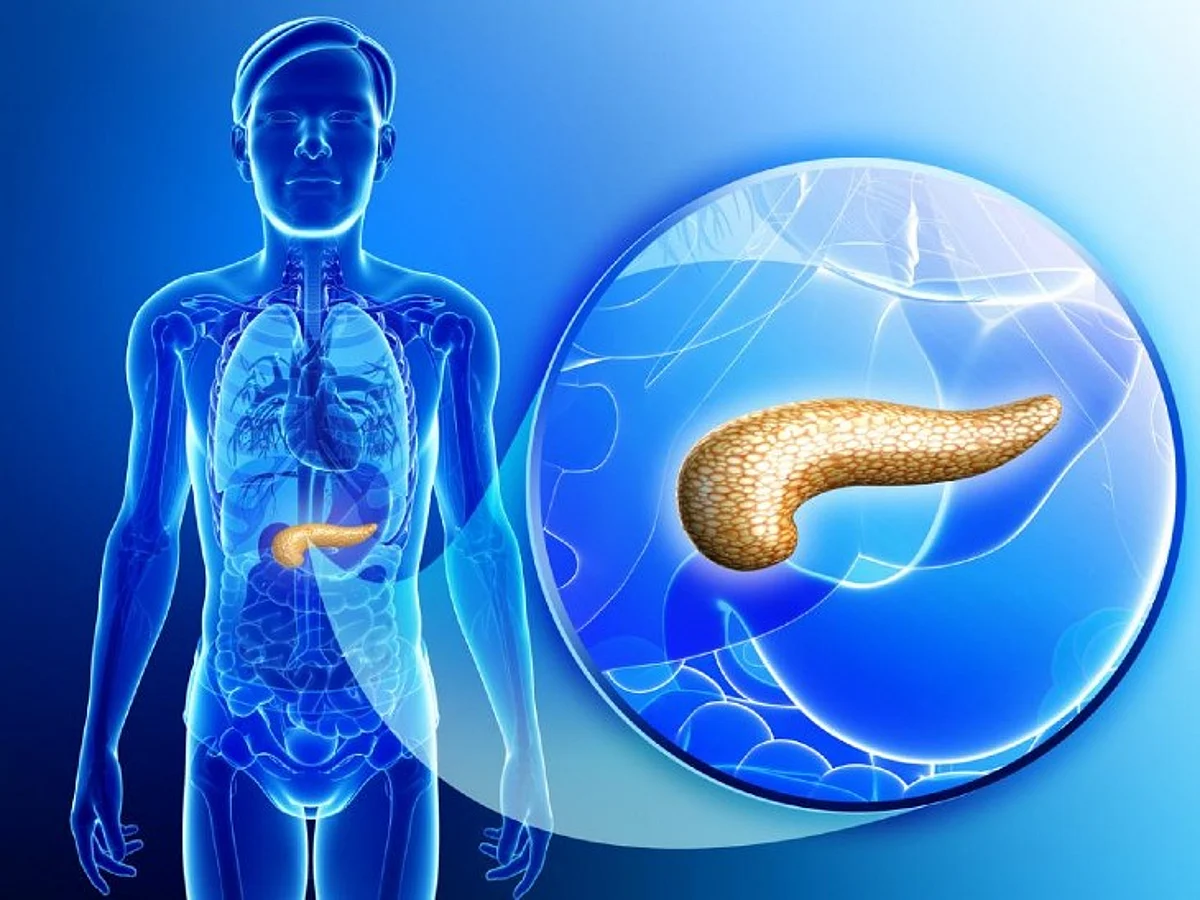 Research Which Gives Relief: Scientists Have Developed Artificial Pancreas
