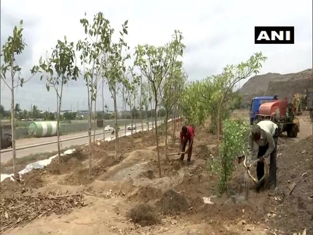 Ahmedabad’s dump yard being converted into green zone