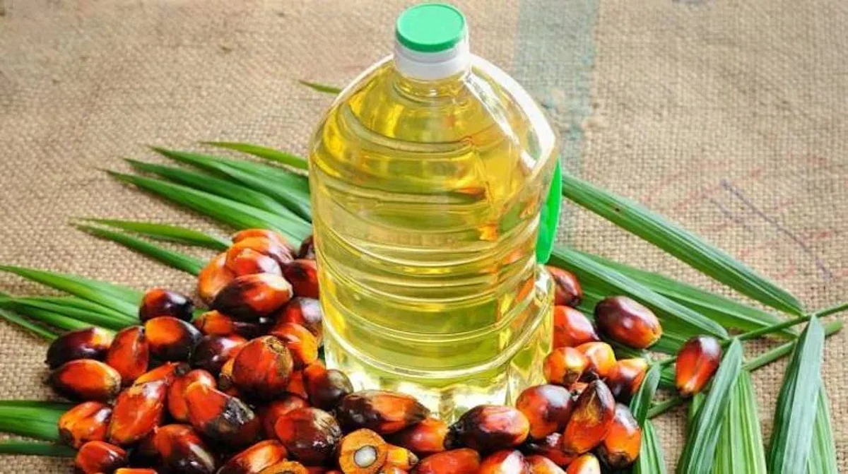 Price Of Edible Oil Will Decrease, Cabinet Approves Palm Oil Mission
