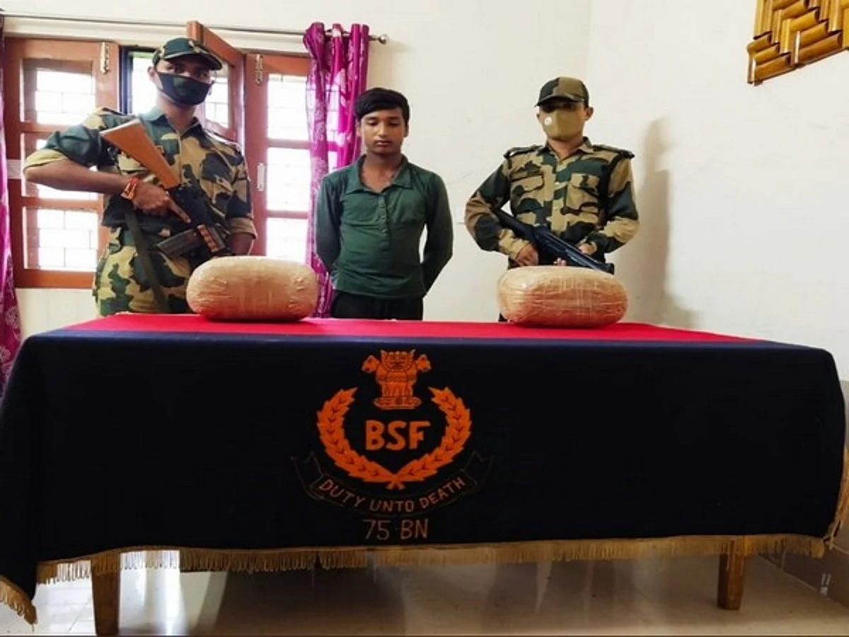 West Bengal: BSF nabs drug trafficker, seizes 25 kg cannabis, 55 bottles of Phensydyl