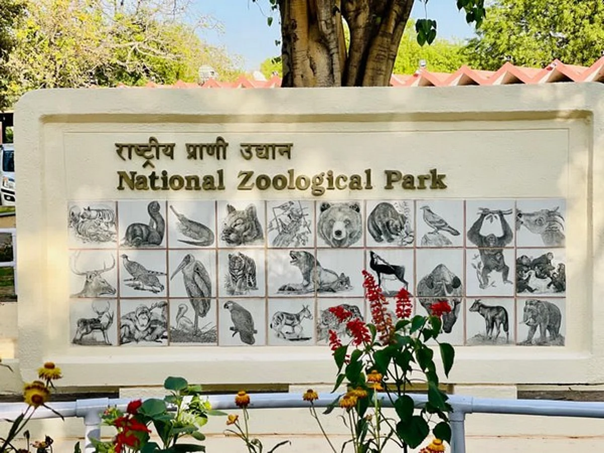After 105 days, Delhi zoo reopens in two shifts with online ticket booking facility