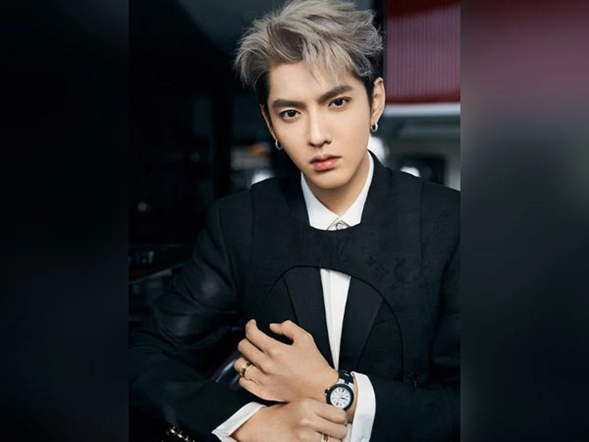 Chinese-Canadian pop icon Kris Wu arrested on alleged rape charges