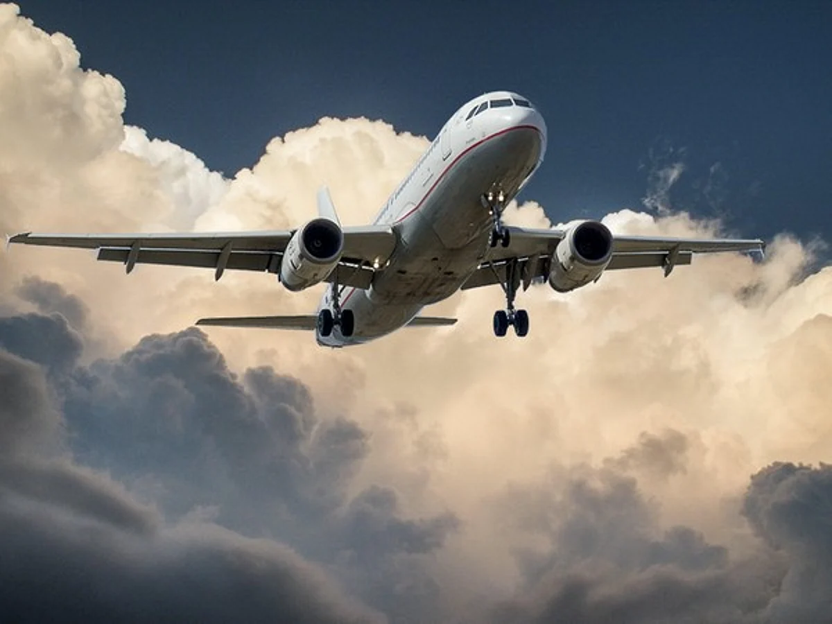 Bird hit damages engine blades of Delhi-bound flight, plane returns to Guwahati with 99 passengers