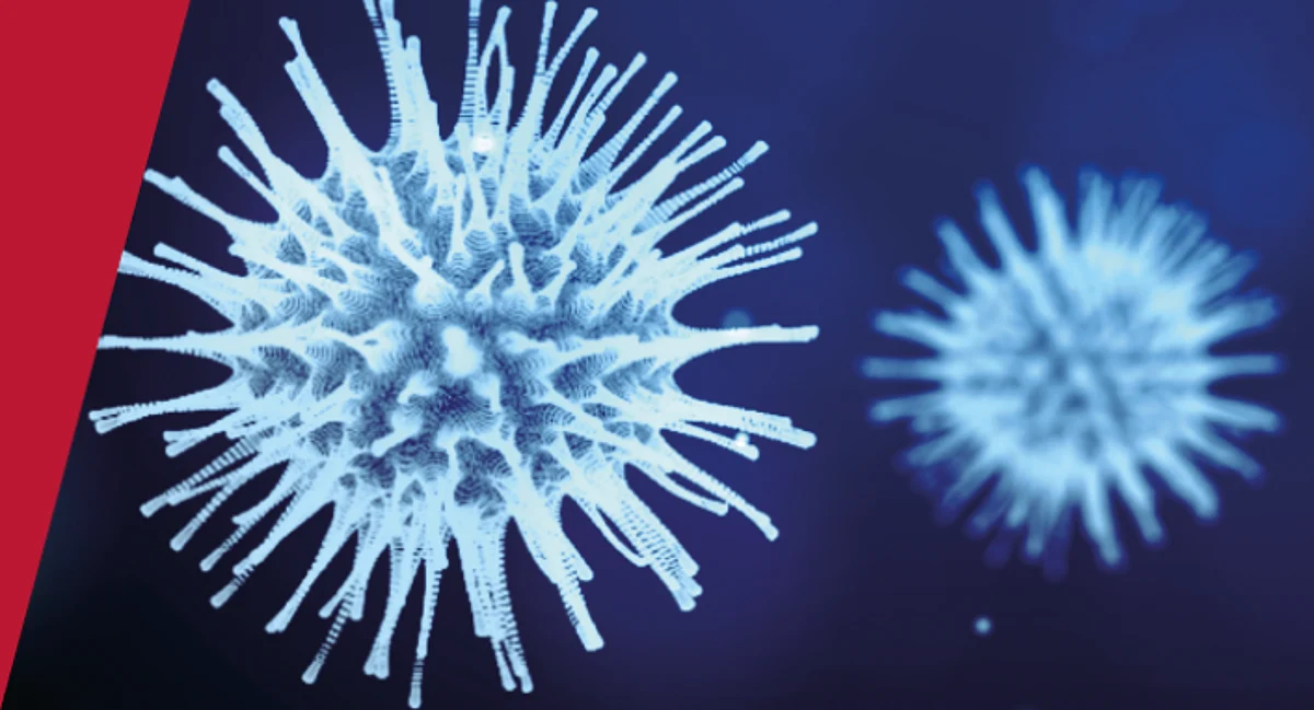 International Study claims: Pandemic Lowered Average Age of Indians by Two Years