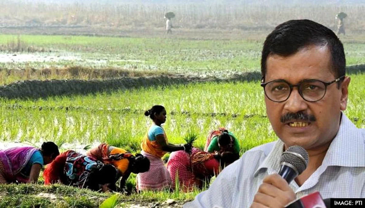 ₹50,000 Compensation Per Hectare for Crop Damage by Rain in Delhi