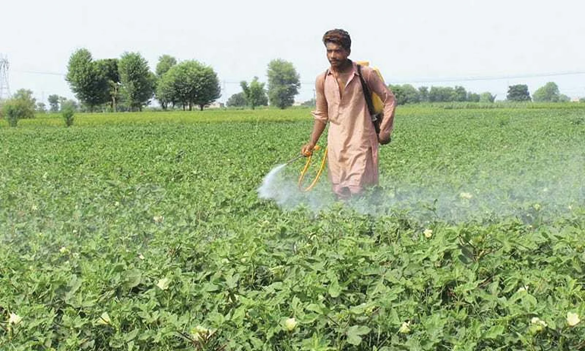Farmers Day: हे अन्नदाता तेरा शुक्रगुजार, सलामत रहे तू हम हैं तेरे कर्जदार