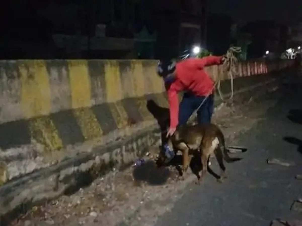 अलवर में निर्भया कांडः मूक बधिर नाबालिग युवती से दरिंदगी की हदें पार, प्राइवेट पार्ट से बहता रहा खून‚ लावारिस छोड़ फरार हुए आरोपी‚ हालत गंभीर