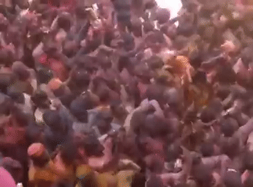 कृष्ण की नगरी वृंदावन में होली का उत्सव, हजारों लोग पहुंचे, देखिए Video