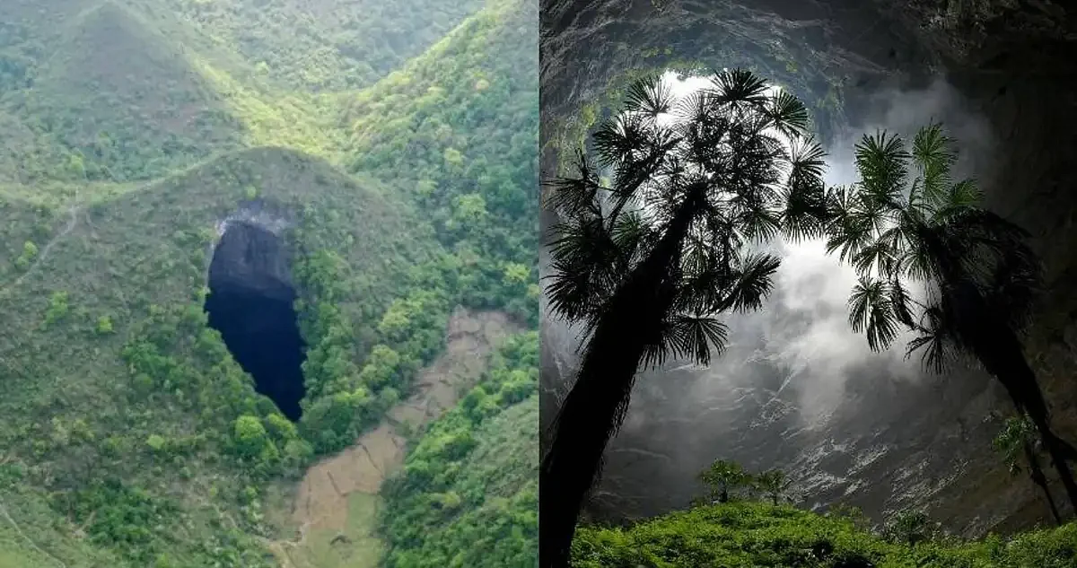 चीन के सिंकहोल में मिले करोड़ों साल पुराने रहस्यमयी प्राचीन जंगल का राज क्या है? अंदर मिल सकते हैं दुर्लभ जीव