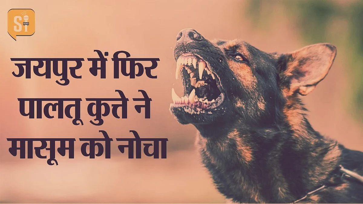डॉग ने कमर के पास, पीट पर, पैरों पर कई जगहों पर काट लिया एवं पंजे लगा दिए। साथ ही बच्ची को घसीटत हुआ तक ले गया