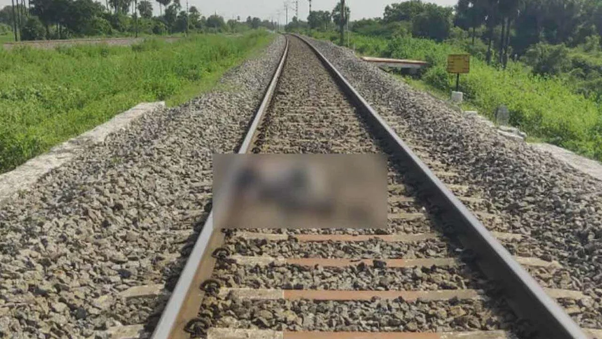 प्रतीकात्मक चित्र