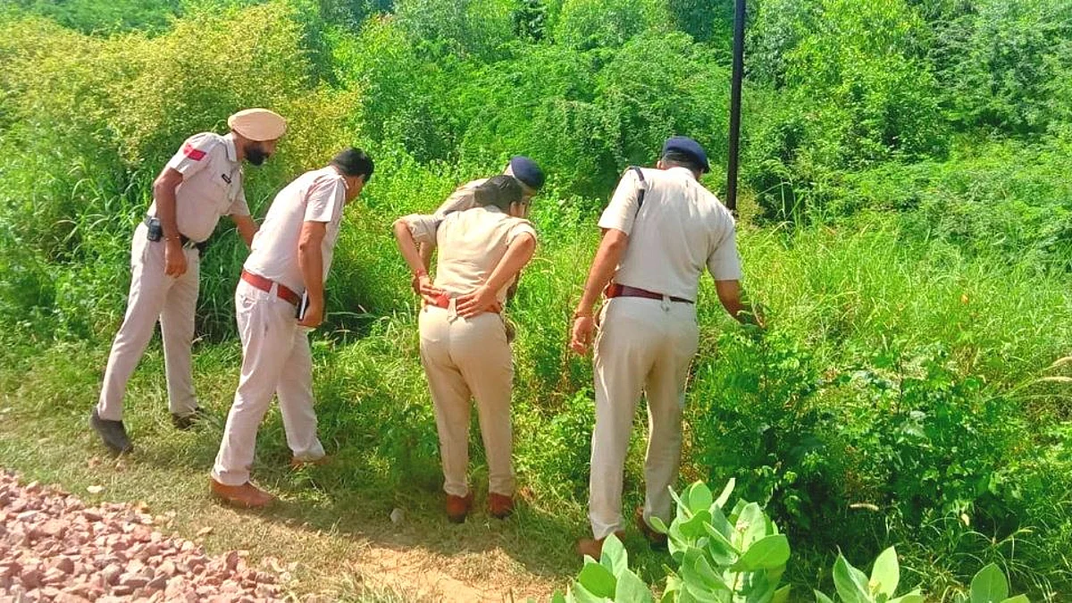 ट्रेन में बेटे के सामने मां से छेड़छाड़, विरोध करने पर महिला को चलती ट्रेन से दिया धक्का