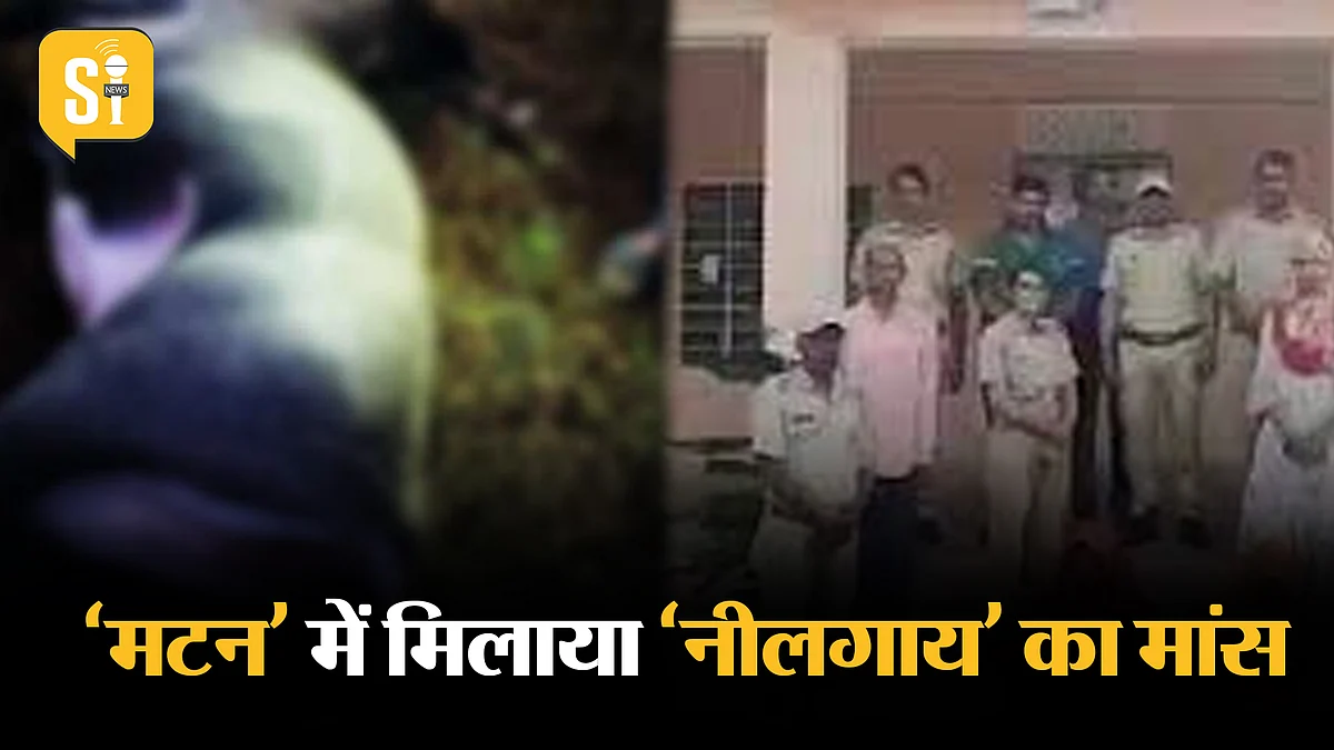 जयपुर के होटल में मटन में मिलाया जा रहा नीलगाय का मांस, वन विभाग की टीम ने महिला को रंगे हाथ पकड़ा