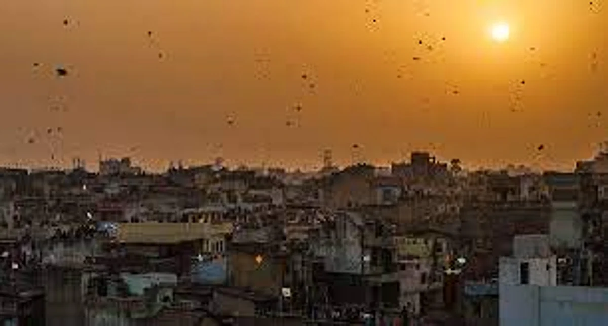राजस्थान सरकार का आदेश: गलत समय पर अगर किसी ने पतंग उड़ाई तो जाना पड़ेगा जेल