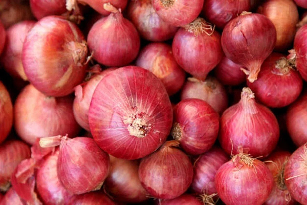 Onion Price – 40 रुपए किलो भाव पर रुला रहा है प्याज़