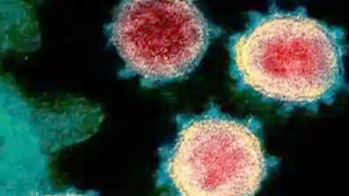 CORONAVIRUS IN INDIA: बीते 24 घंटों में दर्ज हुई 499 मौतें