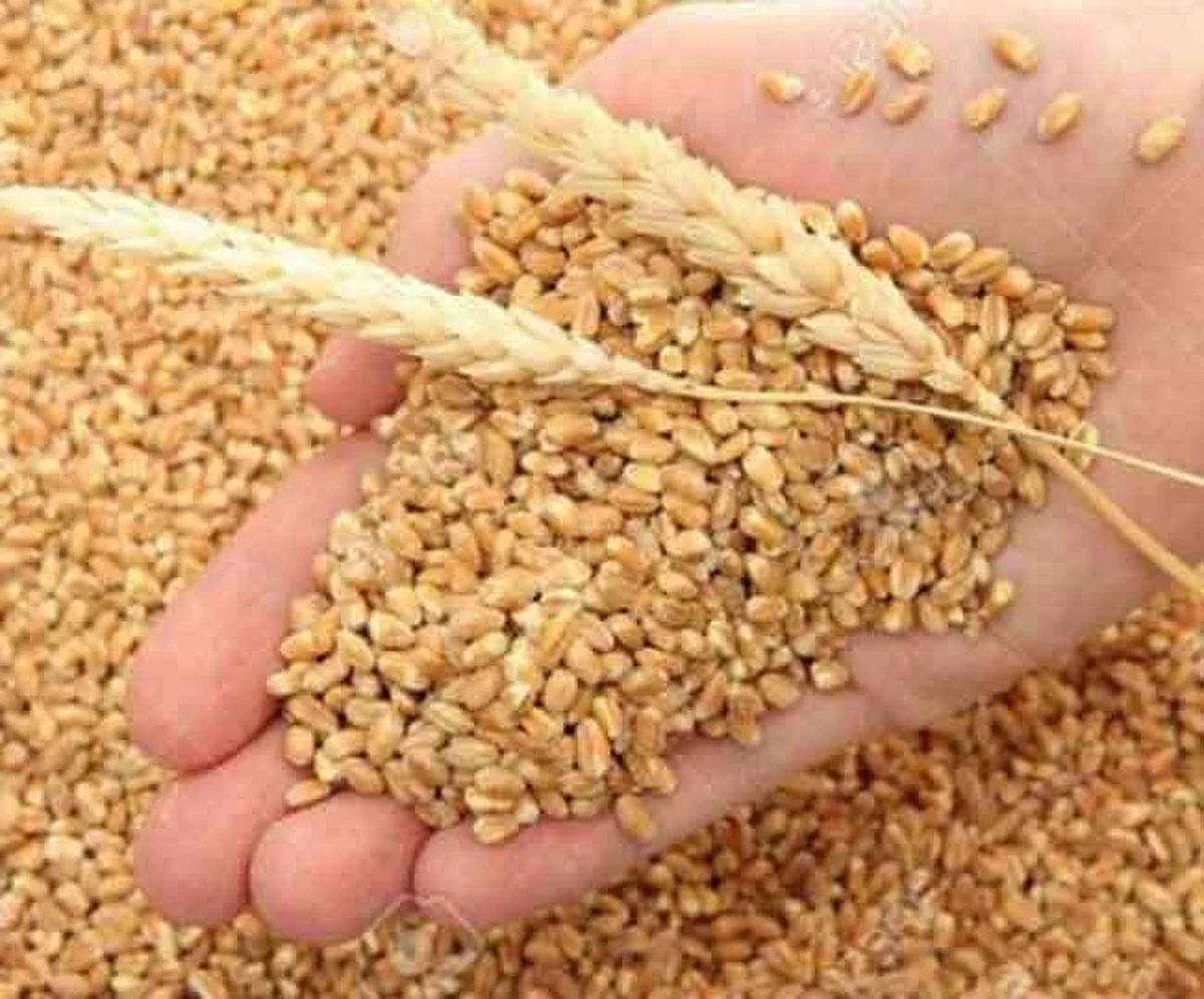 राजस्थान में जन आधार कार्ड से मिलेगा राशन भी, आखिर कैसे,यहां पढ़ें