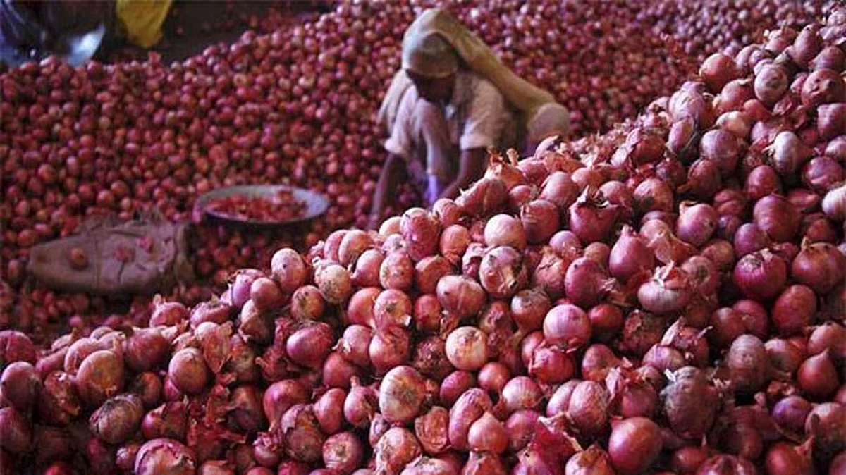 नासिक के व्यापारियों पर IT का छापा : प्याज की जमाखोरी से व्यापारी कमाते है तीन गुना तक मुनाफा, भाव बढ़ते ही बढ़ते ही पड़ी रेड