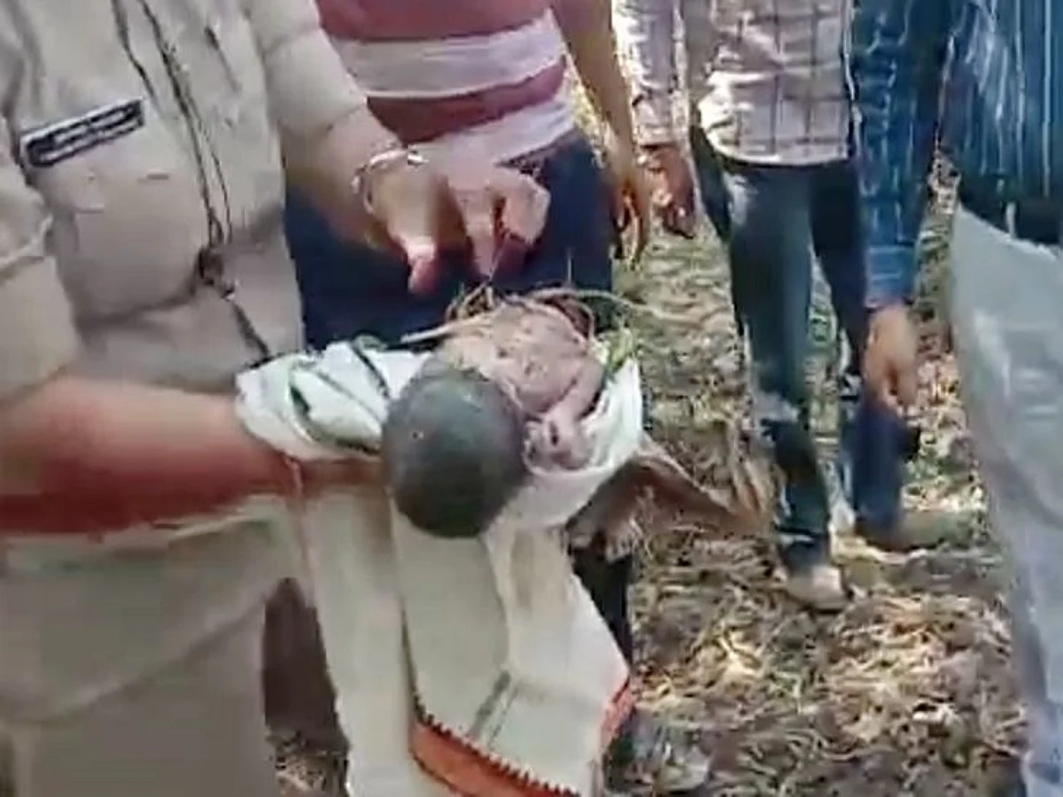 एक दिन की बच्ची झाड़ियों में लहुलूहान पड़ी मिली, महिला पुलिस अफसर भी शरीर से कांटे निकालते हुए हुई भावुक