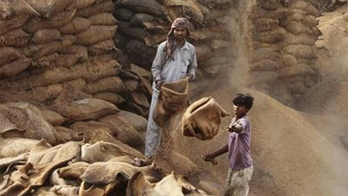 World Food Day: 30 लाख बच्चों का पेट भरने लायक अनाज रोजाना FCI के गोदाम में हो जाता है बर्बाद