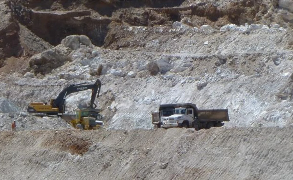 Erdemir Interested in Kumas Magnesite
