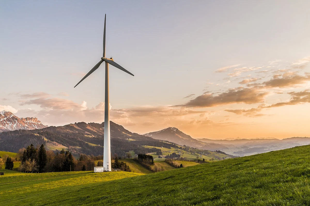Vestas Secures 27 MW Auction Win in Poland