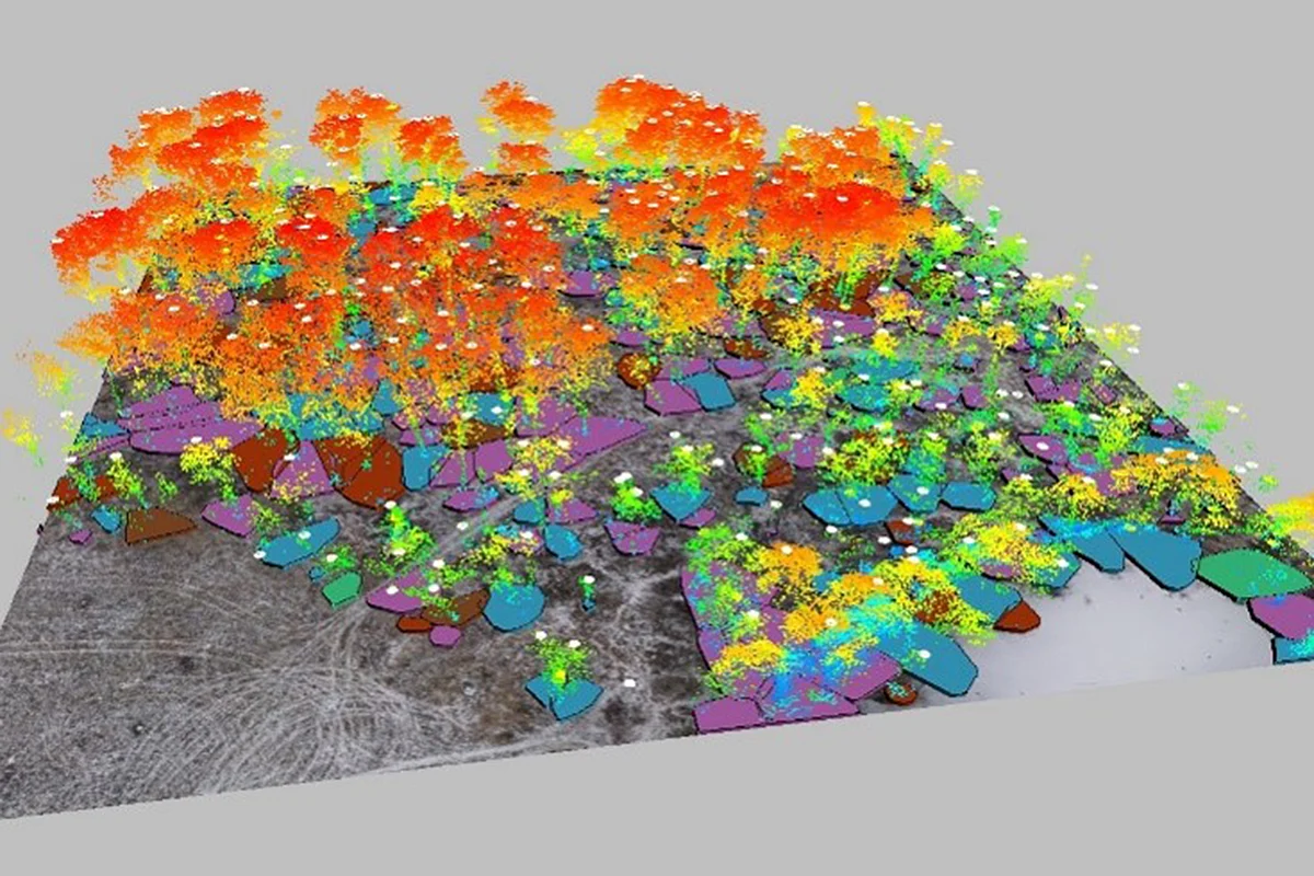 Gazprom Neft Aerial Laser Scanning for Forests around Oilfields