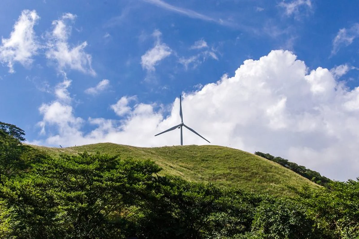 Green Transition of Poland’s Electricity Producer Tauron