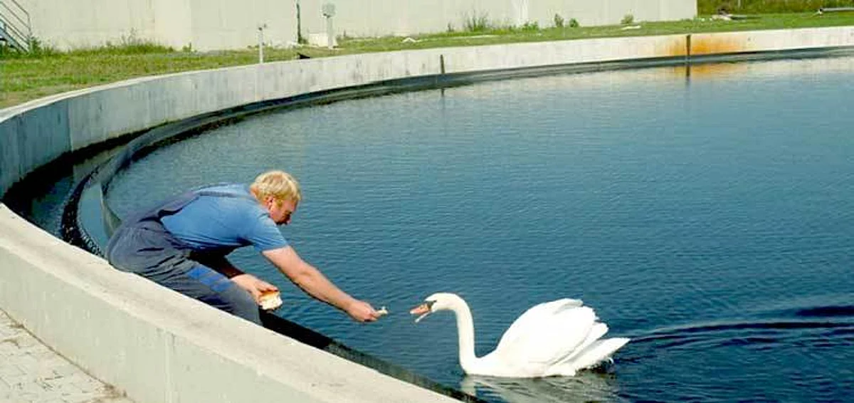 Serbia Modernises Water & Wastewater Network in Subotica