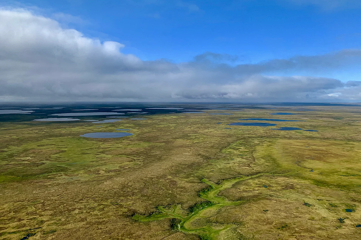 Gazprom Neft &Shell JV to Develop Hydrocarbons in Gydan Peninsula