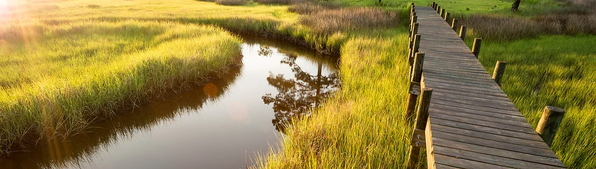 Volkswagen Supports European Environmental Projects with EIB