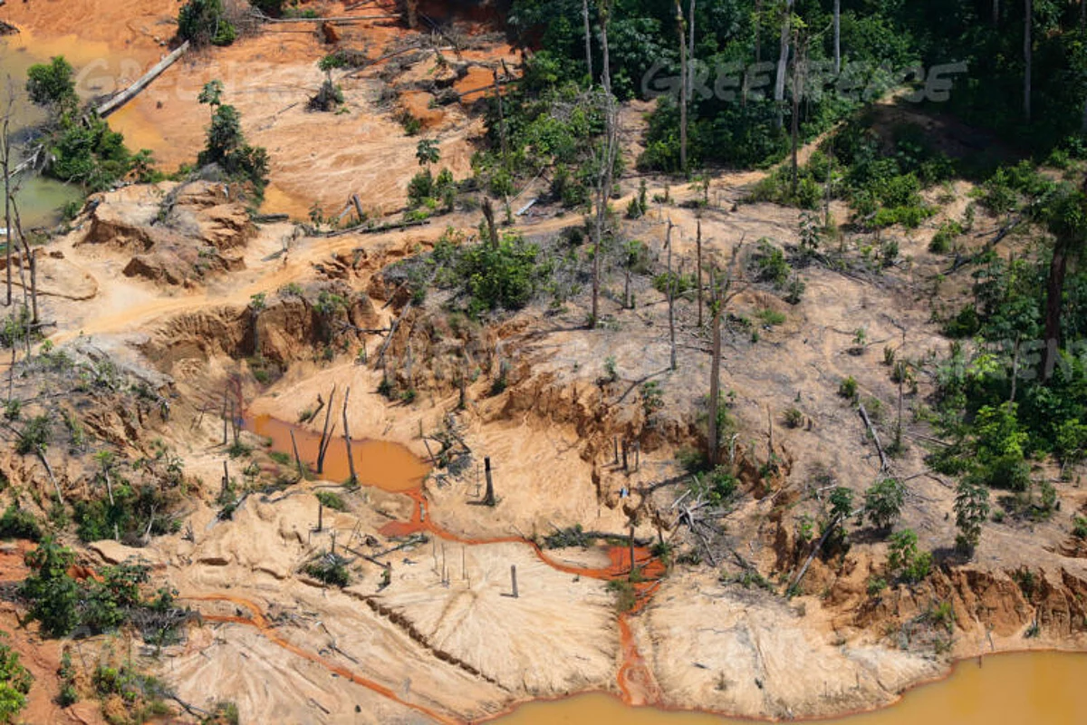 Indigenous Groups Blast Plan to Legalize Wildcat Mining in Amazon