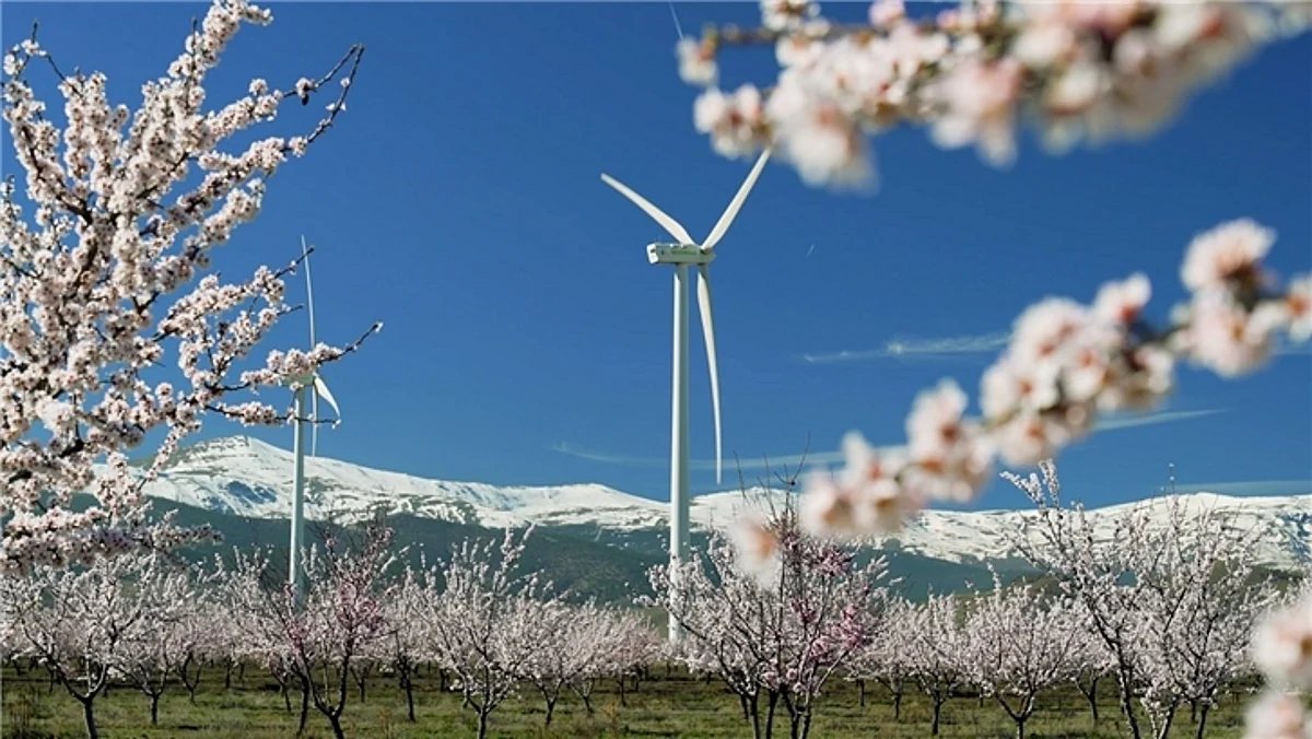 Iberdrola Building 3 Wind Farm in Malaga & Seville in Andalusia