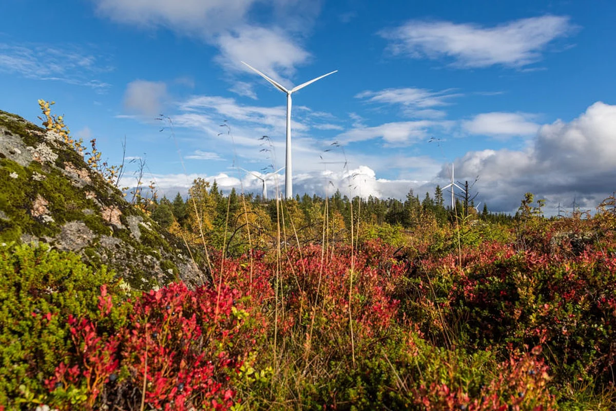 Siemens Gamesa Inks 62 MW Deal with Tekniska verken