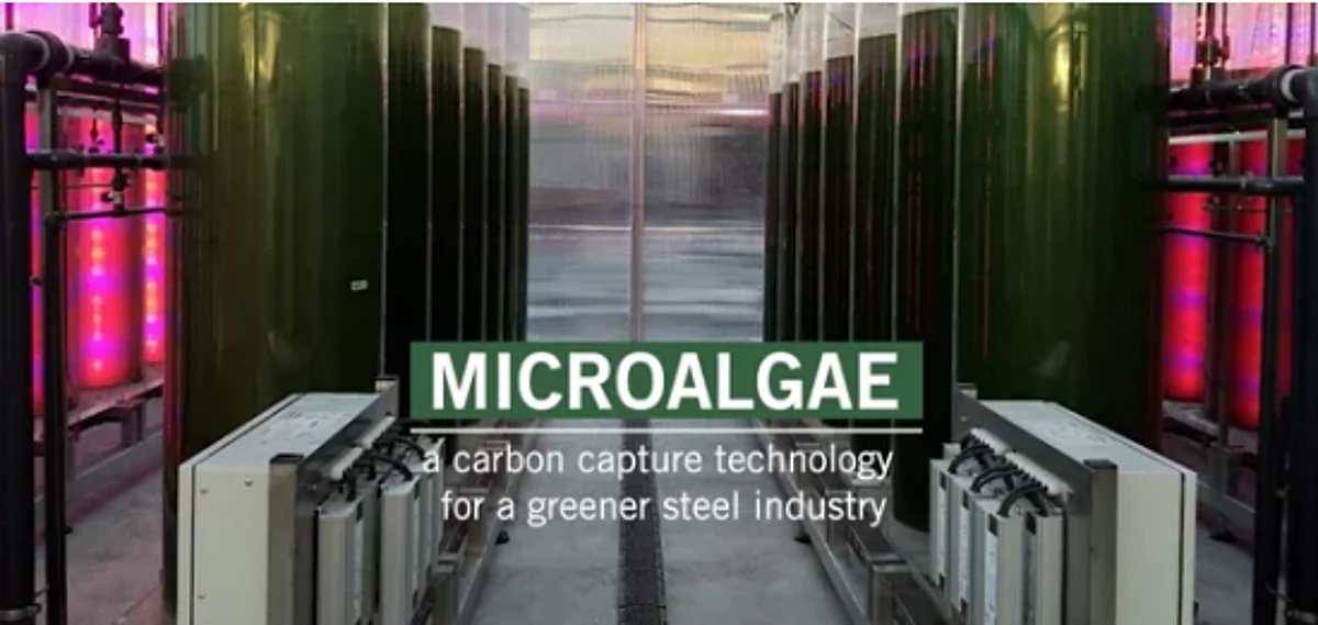 Microalgae Based Application for Eco Friendly Steelmaking Process