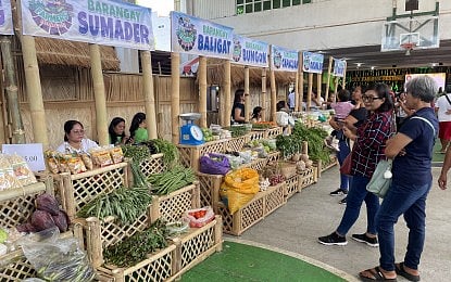 Ilocos Norte city gears up as smart, sustainable city - Vimarsana News