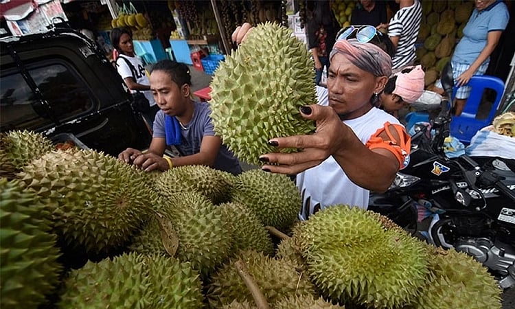 DA to expand durian plantations, increase exports to compete with Thailand, Malaysia - Vimarsana News