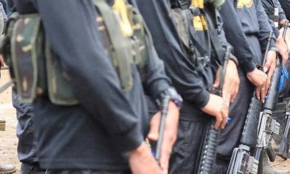 10 NPA rebels, 2 militia members surrender in Negros - Vimarsana News
