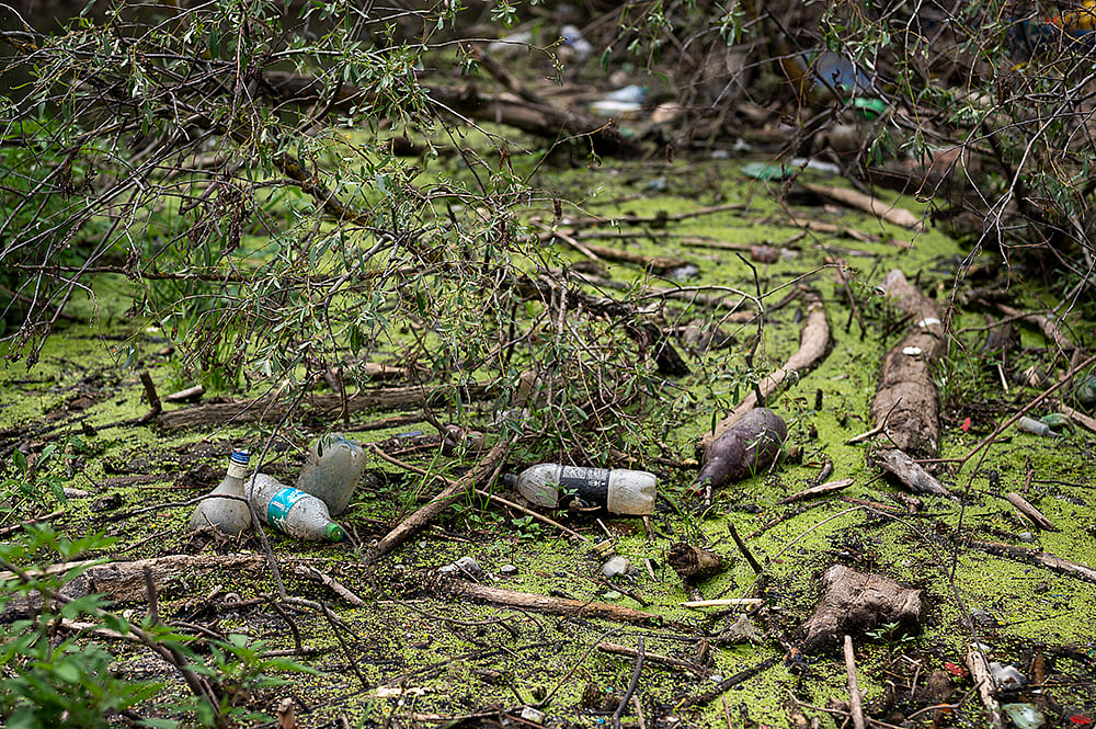 At talks on cutting plastics pollution, plastic credits are on the table. What are they? - Vimarsana News